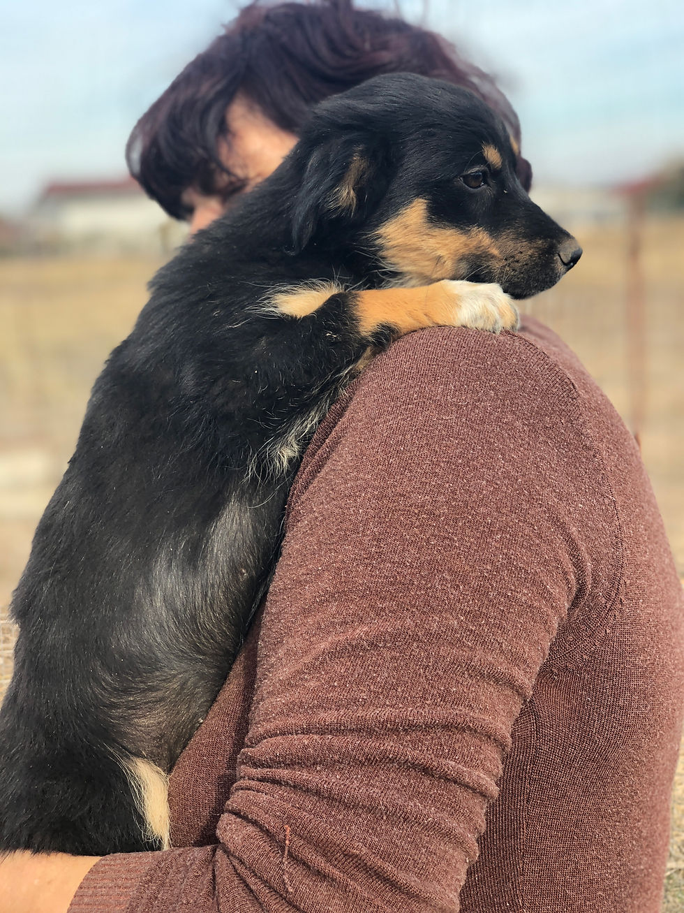 Thumbnail: Inka, female, born July
