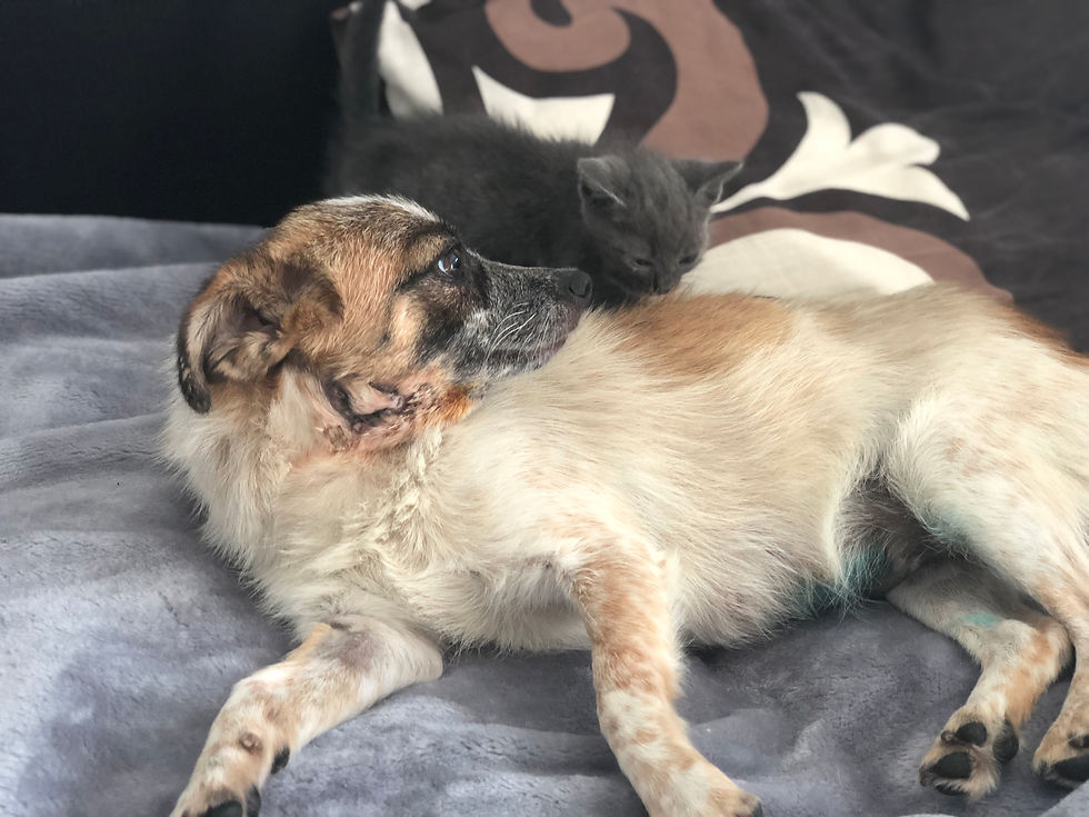 Thumbnail: Jasmine, 1 year, small girl