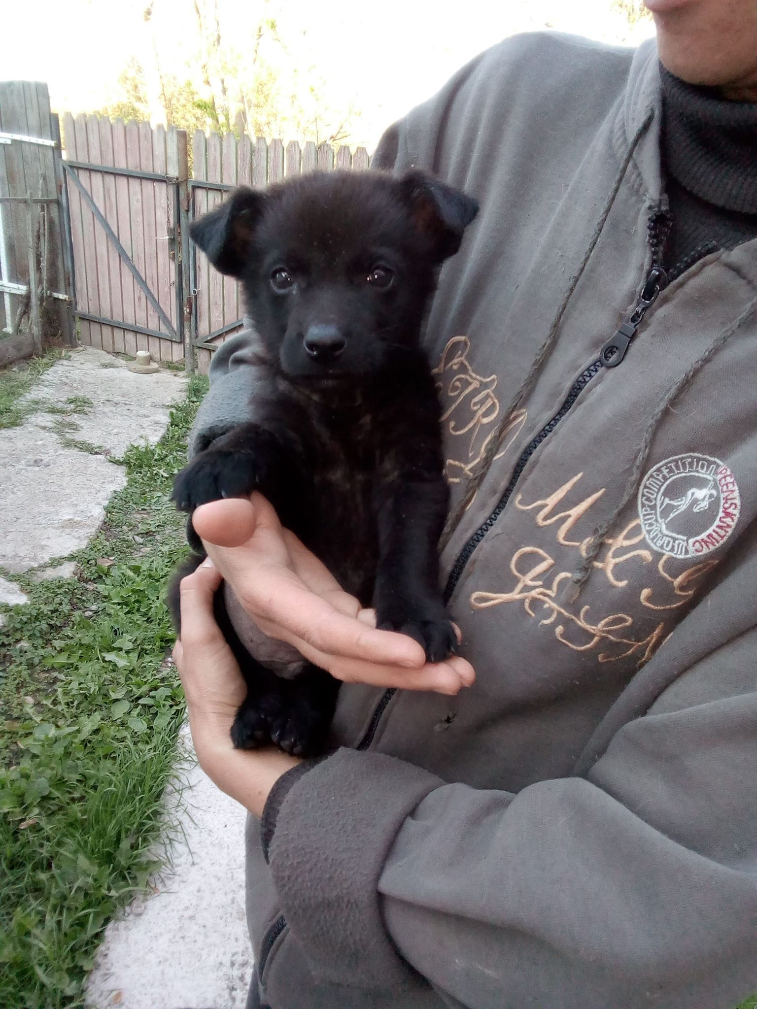 Loki, male, born July