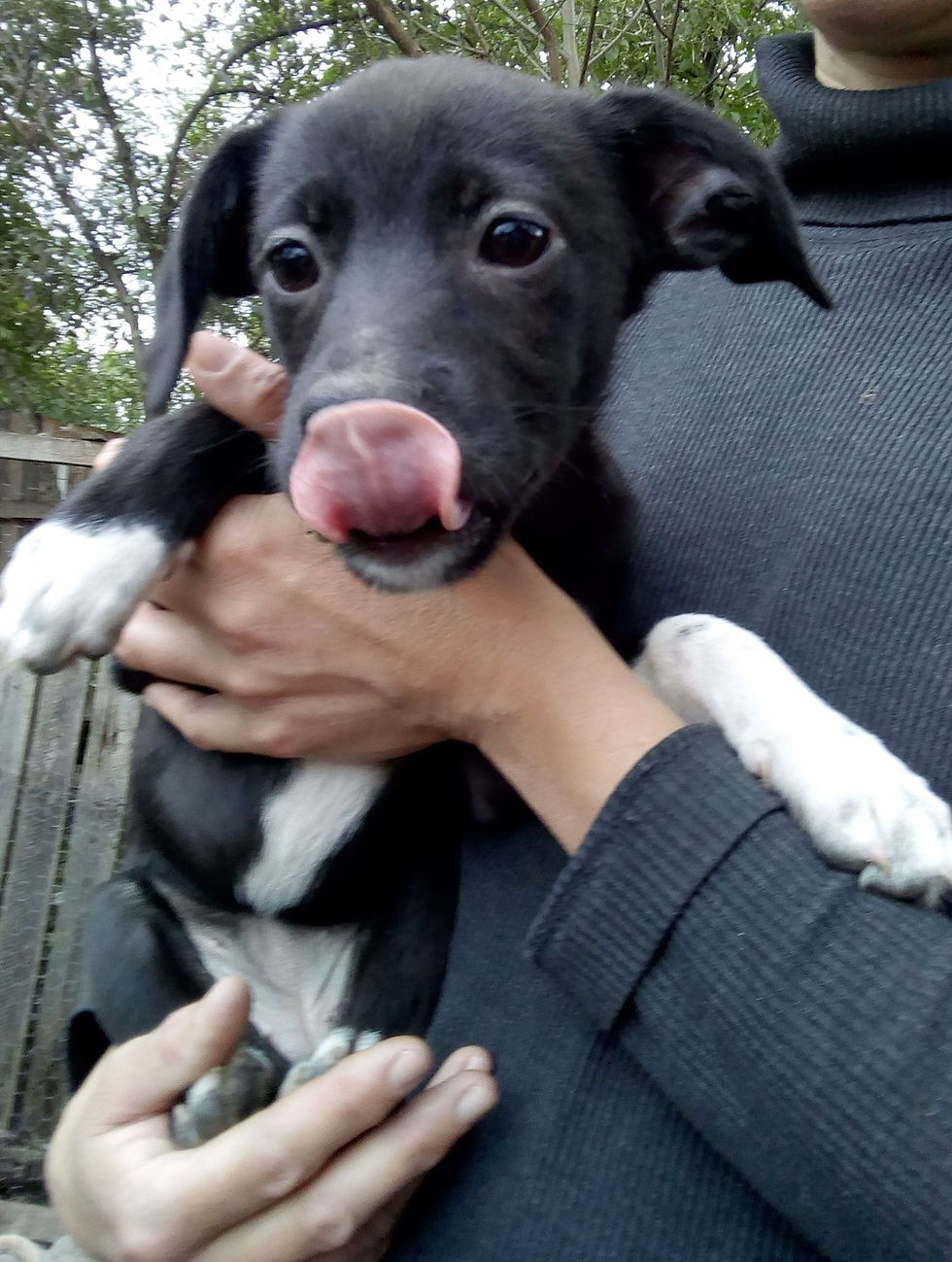 Thumbnail: Erica, female, born June