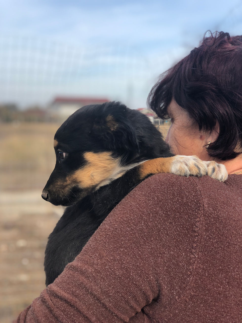 Thumbnail: Inka, female, born July