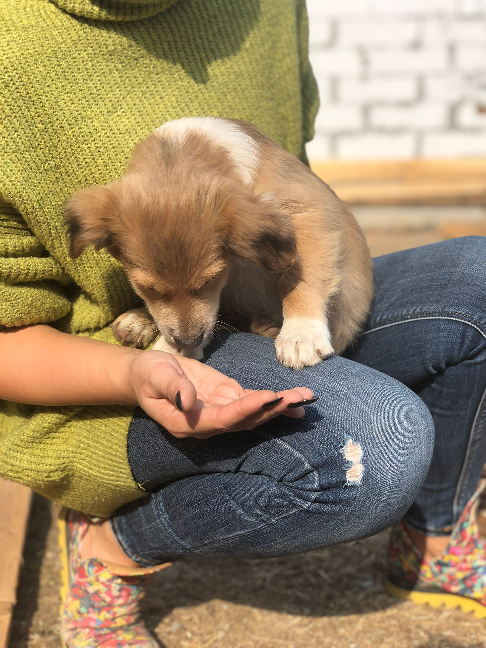 Thumbnail: Selma, female, born July
