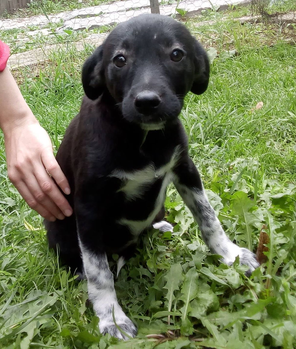 Thumbnail: Pia, female, born April