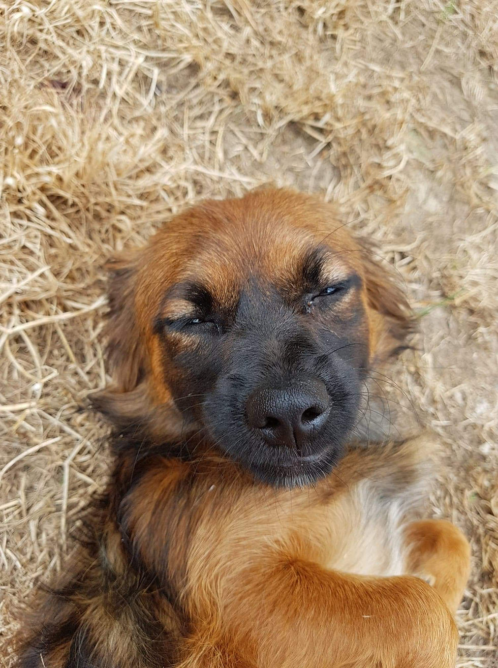 Thumbnail: Salsa, 1 year, small