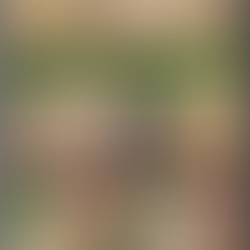 TCM Jet Wash Drives: Resin Patio area clean in Wellingborough, Northants 18/03/2024