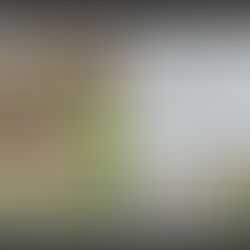 TCM Jet Wash Drives; Block Paved Patio and path cleaning in Huntingdon, Cambridgeshire April 17th 2024