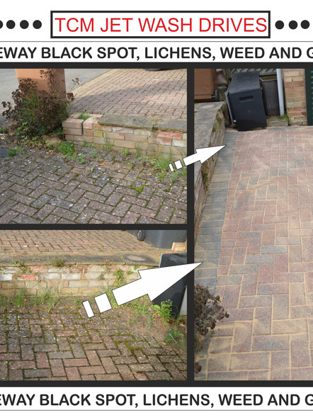 Driveway cleaning: Black spot removal, weeds, lichen, white spot, moss and grime