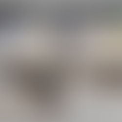 TCM Jet Wash Drives: Driveway, Patio and path cleaning in Wellingborough, Northants 6th of April 2024