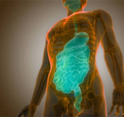 oral gut axis.jpeg