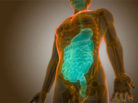 Unravelling the mouth-gut axis and its association with Inflammatory Bowel Disease