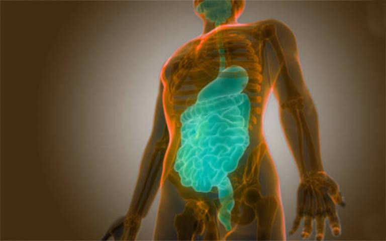Unravelling the mouth-gut axis and its association with Inflammatory Bowel Disease