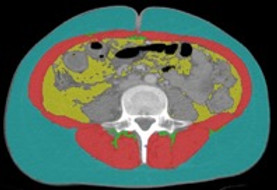L3 image.jpg