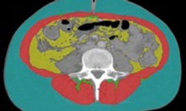L3 image.jpg