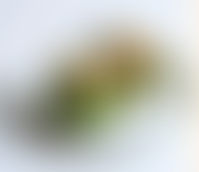 Recipe corner: Stuffed peppers