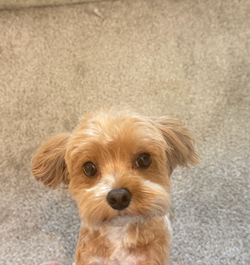 Screenshot 2025-09-21 at 3.03.10 PM