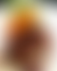 Short Ribs & Parsnip Mash