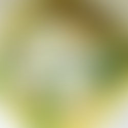 Keto Italian Wedding Soup