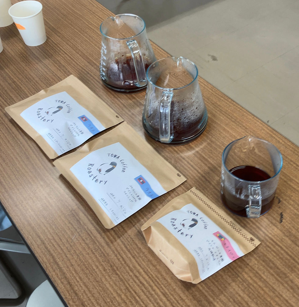 ゲイシャ種オンリー