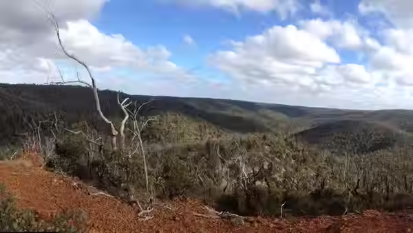 Anakie Gorge Walk - Brisbane Ranges NP - 11km (Grade 3.5) Moderate/Hard