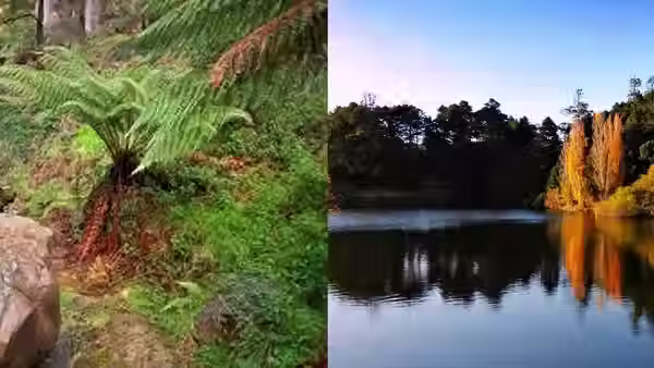Goldfields Track – Daylesford (17km) Grade 2 (Easy)