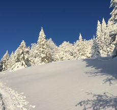IMG_3735.JPG
