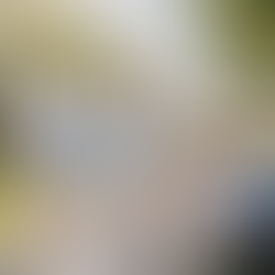 Hidratação na Melhor Idade: Por que Beber Água é Ainda Mais Importante Agora?