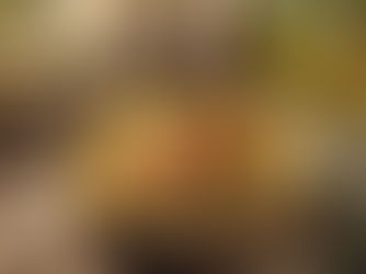 Receita de salmão assado com Molho de alcaparras