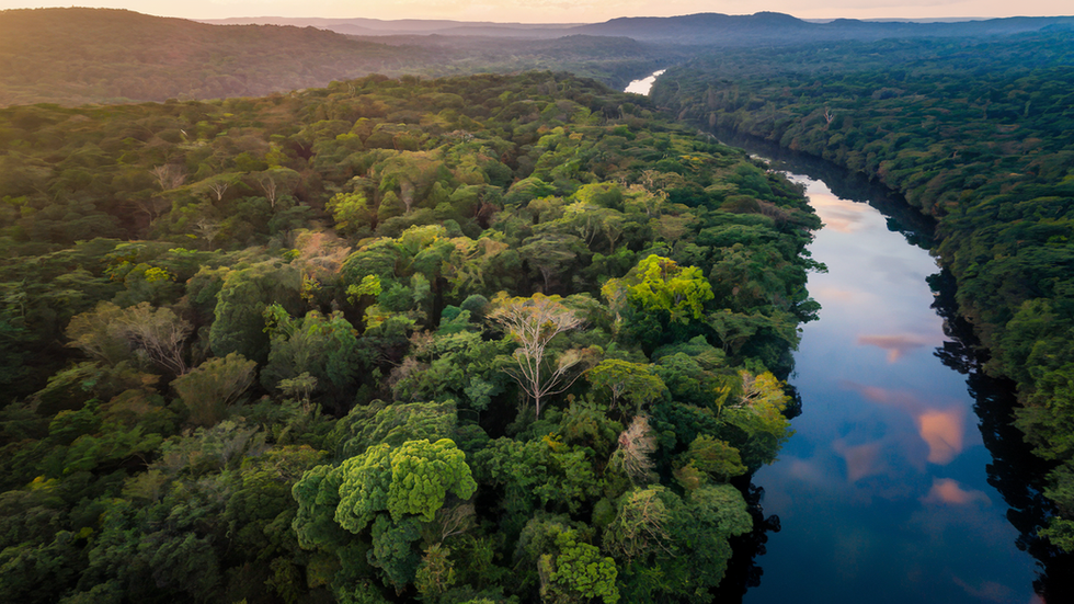 Petrobras e BNDES Lançam Parceria Inédita para Reflorestar a Amazônia e Fortalecer Mercado de Créditos de Carbono