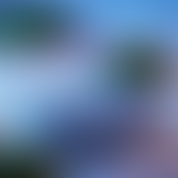 Acupuntura: A Ciência Milenar que Transforma a Saúde