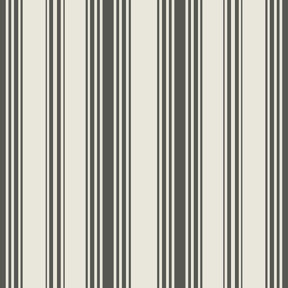 Balanced Stripe - Charcoal.jpeg