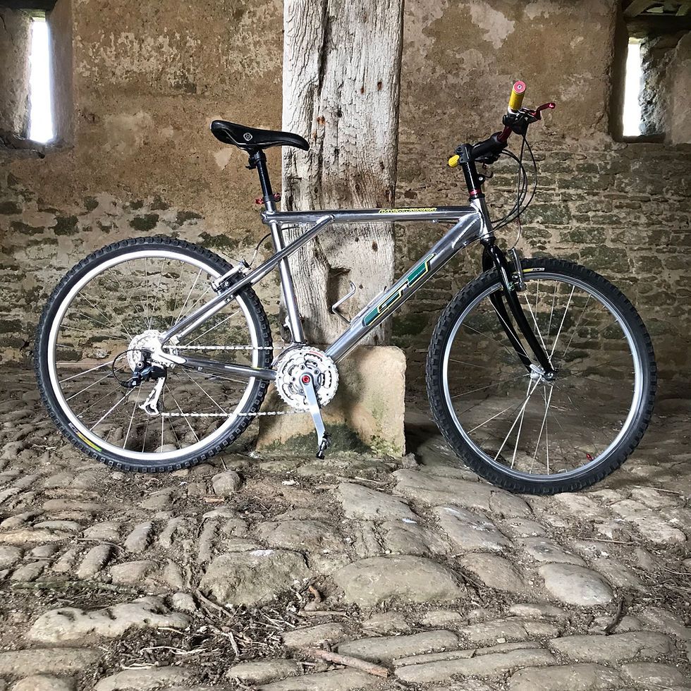 Backwoods Expert Gt Backwoods Mountain Bike Gt Backwoods Sport