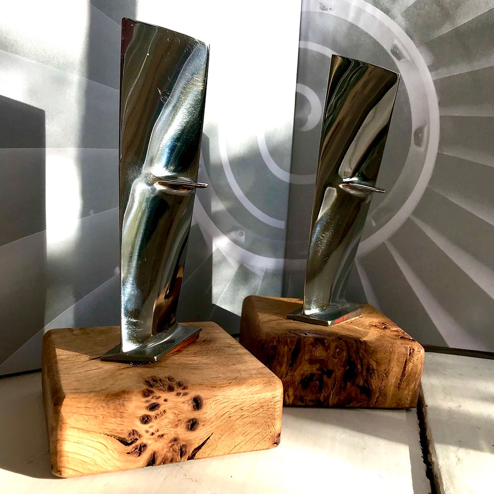 Thumbnail: Rolls Royce / RAF Tornado /RB199 Jet Engine fan blade paperweight 