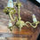 Thumbnail: French three arm brass chandelier / electrolier #8590/1