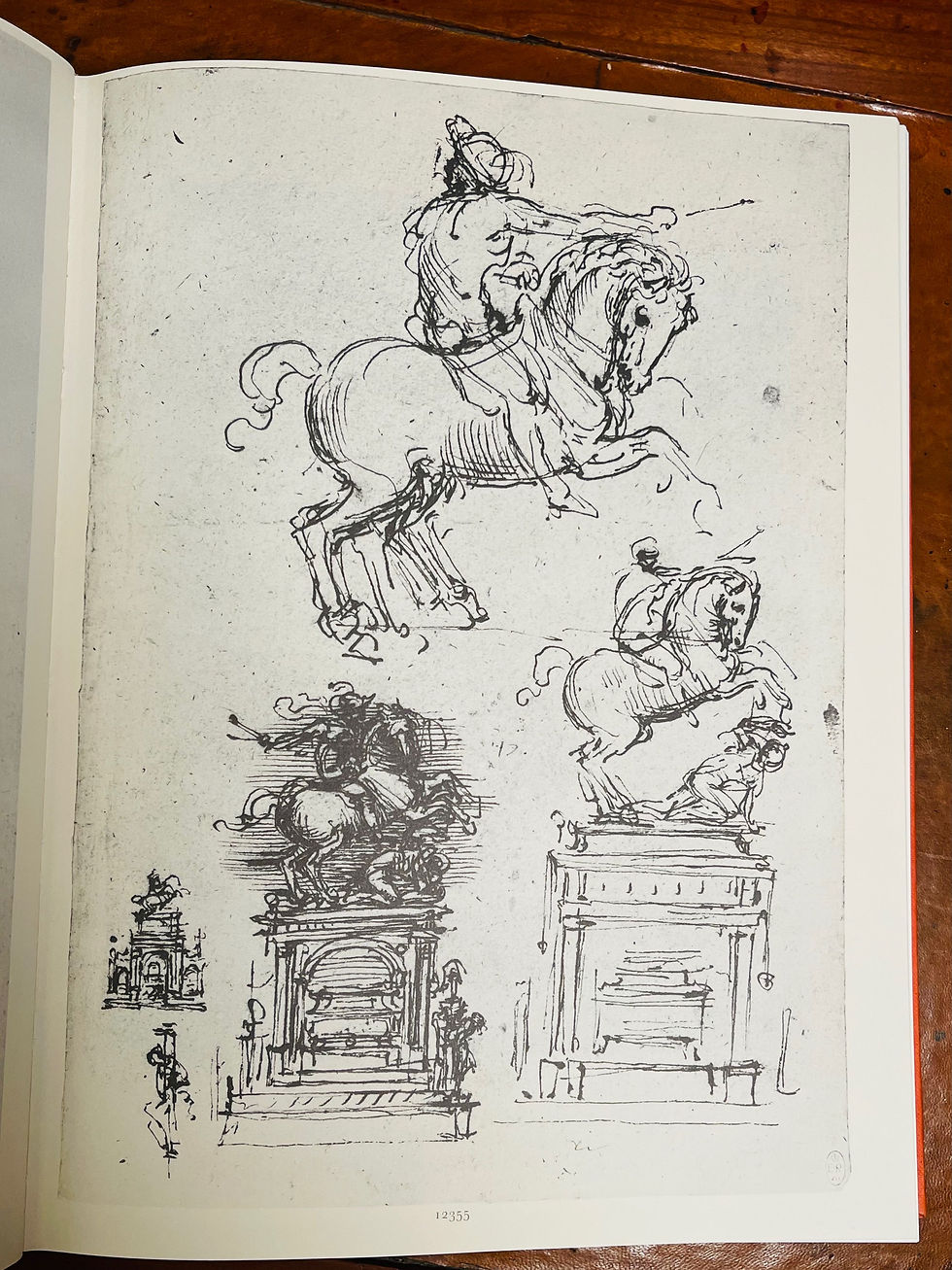 Thumbnail: Leonardo DaVinci Drawings at Windsor Castle - #8429