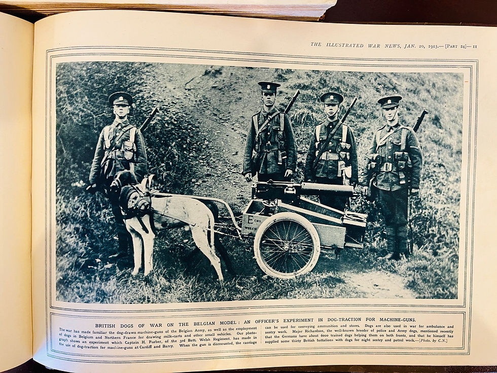 Thumbnail: 8 Volumes Illustrated War News 1914 - 1916.