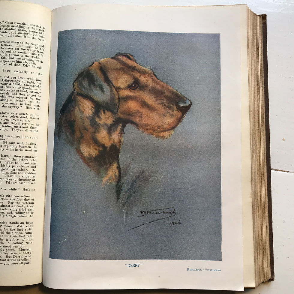 Thumbnail: Boys Own Annual 1927/28