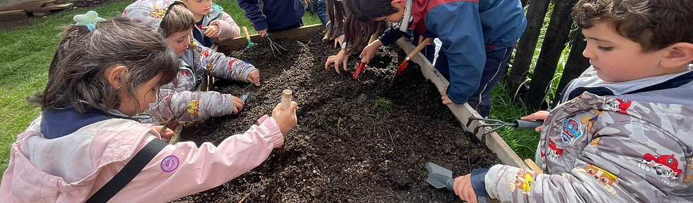 WhatsApp Image 2025-10-29 at 7.01.25 AM.jpeg