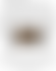 Invite Friends by Text (SMS) to View Your Memories