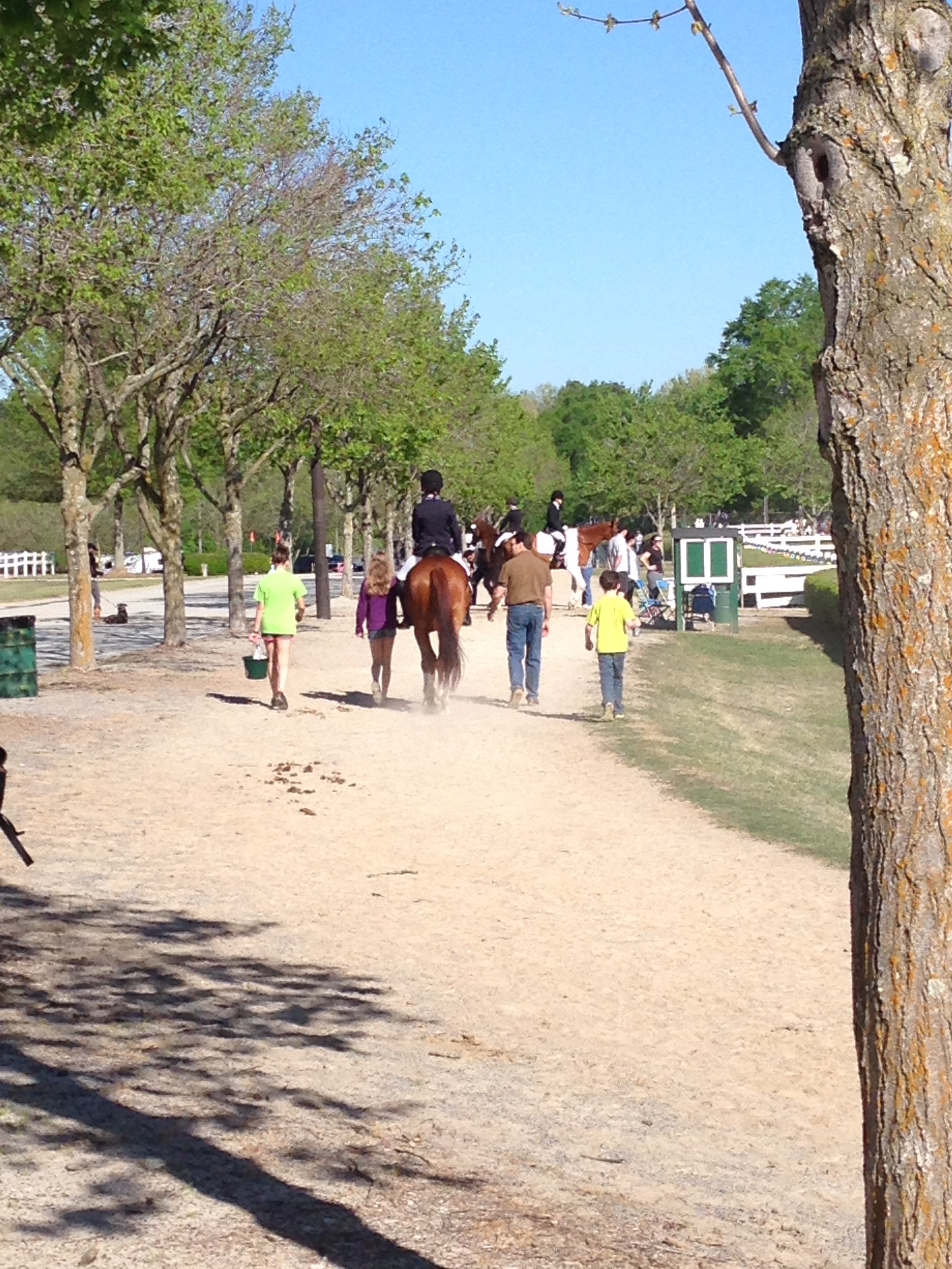Horse shows....