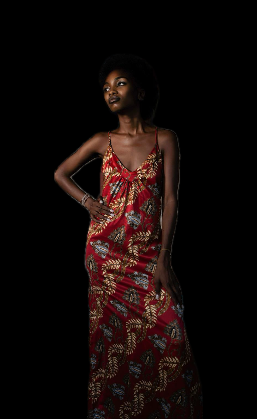 Kamboja Dress