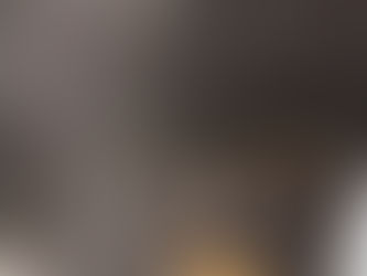 Belonging and Thriving -- Together (A Homily for the Annual Appeal) Rev. Josh Pawelek, March 1, 2026