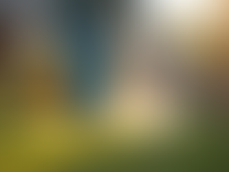 Top Pest Control Tips from Family-Owned Experts