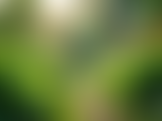 The Importance of Sustainable Living in Today's World