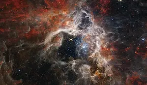 tarantula-nebula-jwst.jpg.webp
