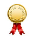 Ícone de medalha Martins Logística Internacional