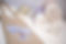 SL8_8655.jpg