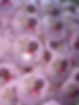 DDXPins.jpg