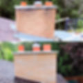 Roy Chimney Before and after.jpg