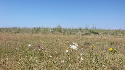 Mont Saint Michel.jpg