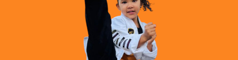 Chi Combat System kids Group profile picture.